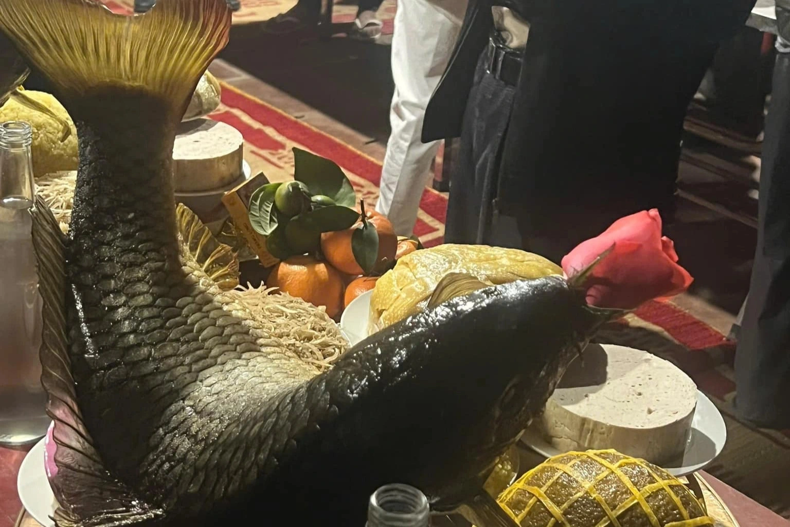 cá chép nằm võng Trọng Tùng 0.png