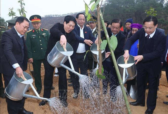 Chủ tịch nước: Mỗi cây xanh được trồng là một món quà vô giá cho thế hệ mai sau