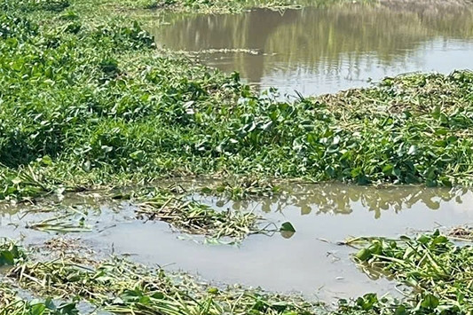 Thi thể thiếu niên 16 tuổi bị cột vào đầu bơm nước, nổi trên kênh ở Đồng Tháp