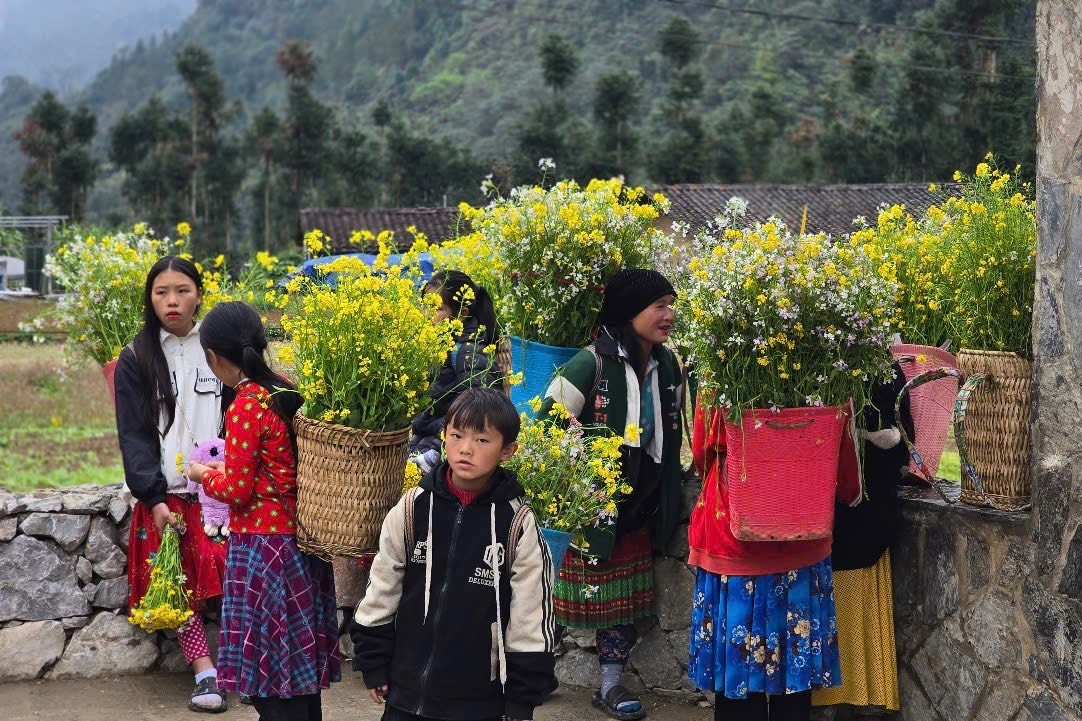 Hà Giang - điểm đến du Xuân hấp dẫn đầu năm