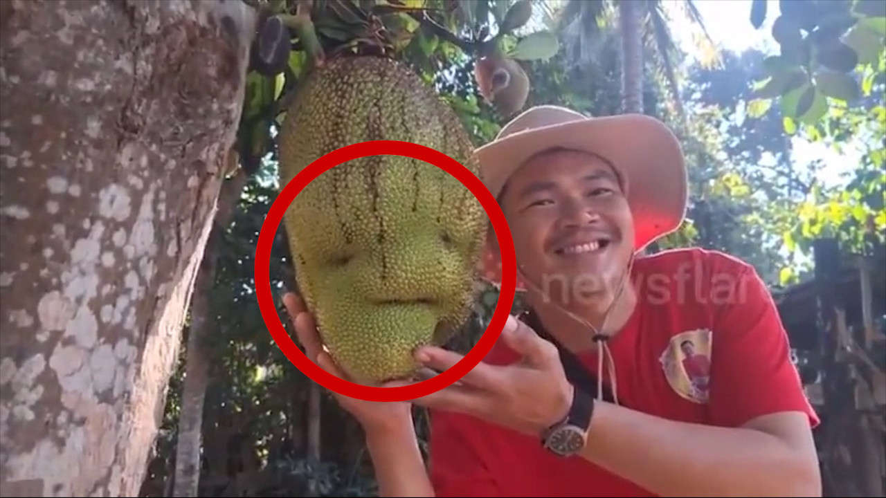 USA TRIP . TẬP 4  Room Tour The Plaza Hotel, New York.00_54_55_23.Still156.jpg