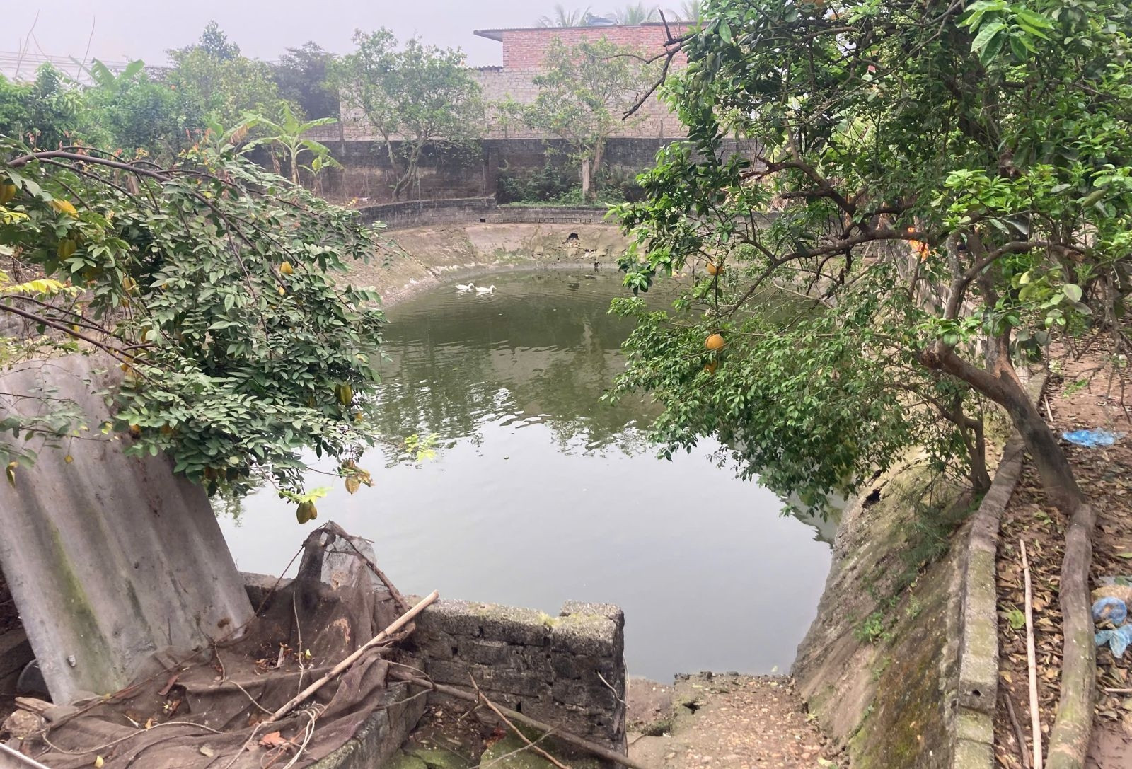 Hai anh em ruột đuối nước thương tâm trong ao nhà