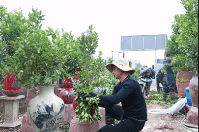 Nghề lạ làng Tứ Liên: 