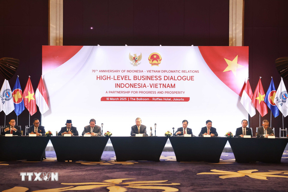tong bi thu to lam du toa dam doanh nghiep viet nam indonesia.jpg