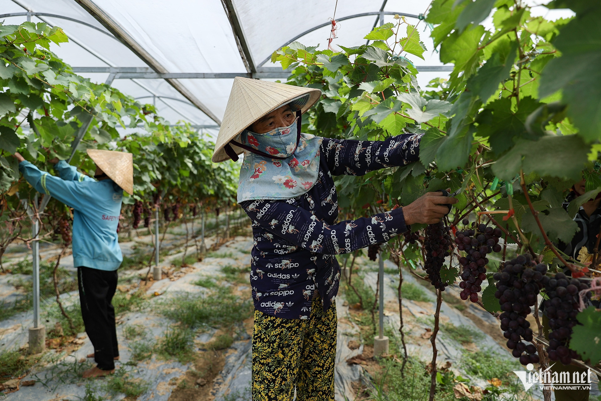 W-giam ngheo 3 lad 122371.jpg