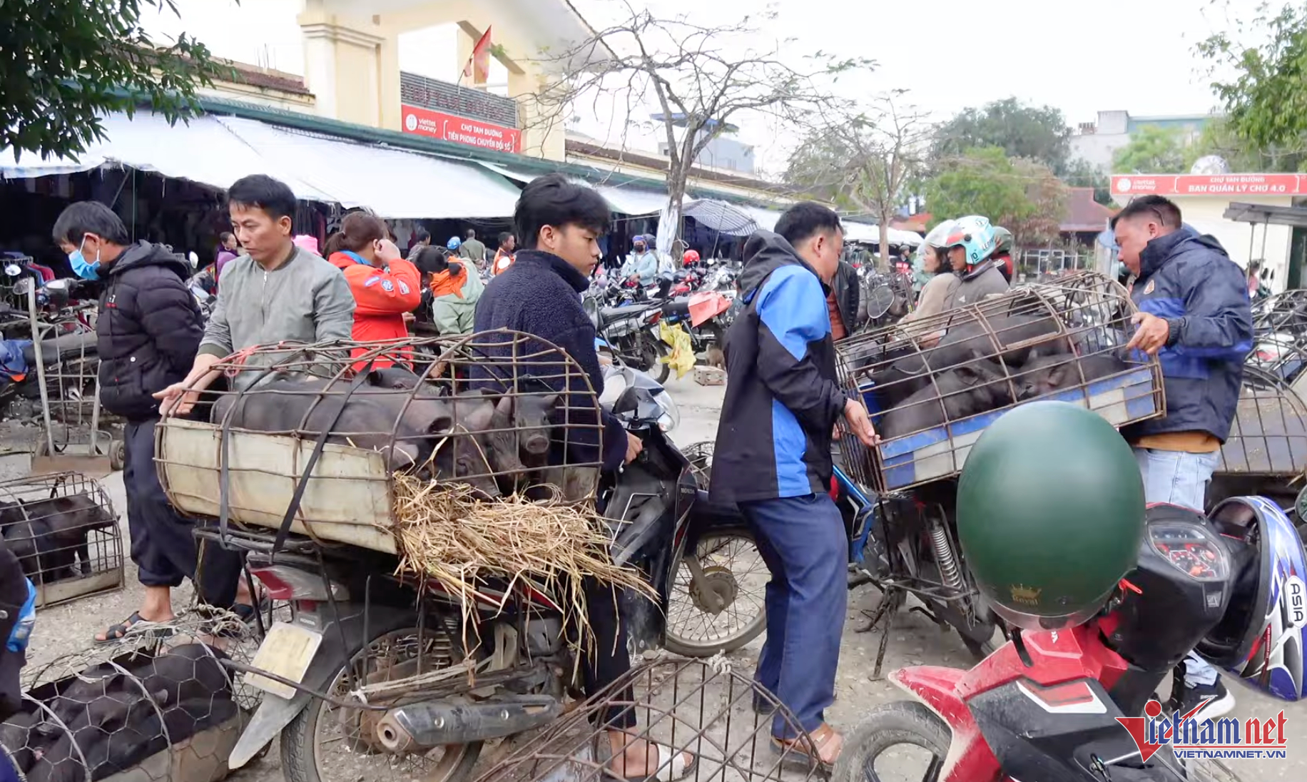 W-minhhoa.png