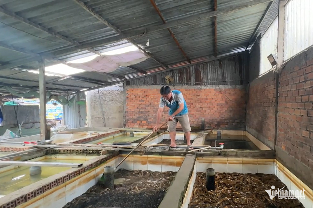 W-nuoi luon 86671.jpg