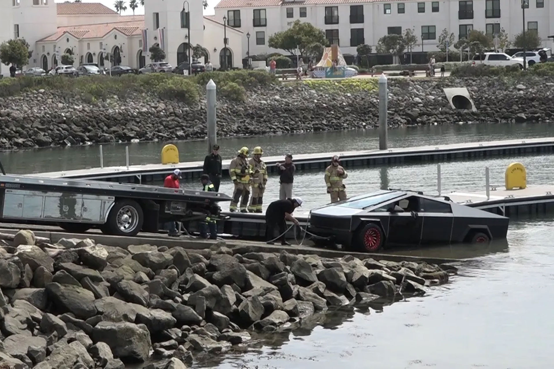 Tesla cybertruck bi chim (3).jpg