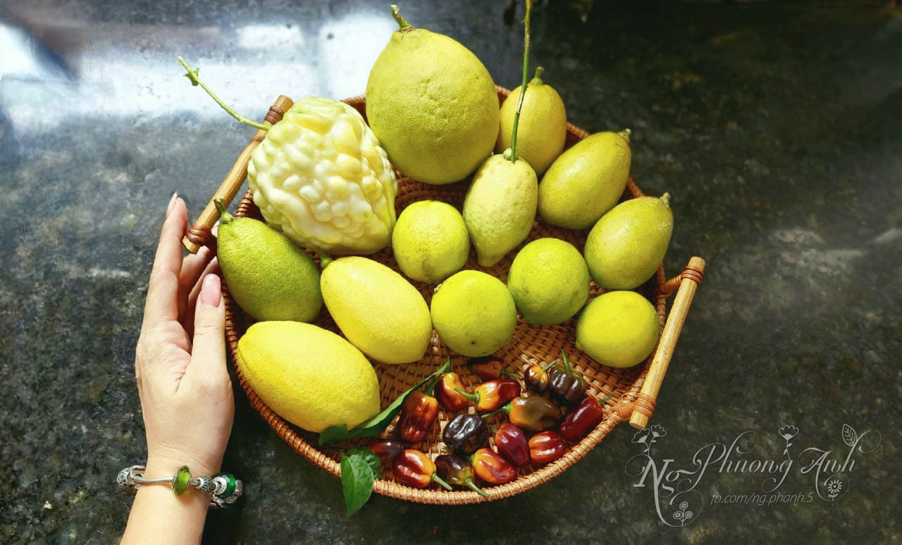 vườn sân thượng tphcm.jpg