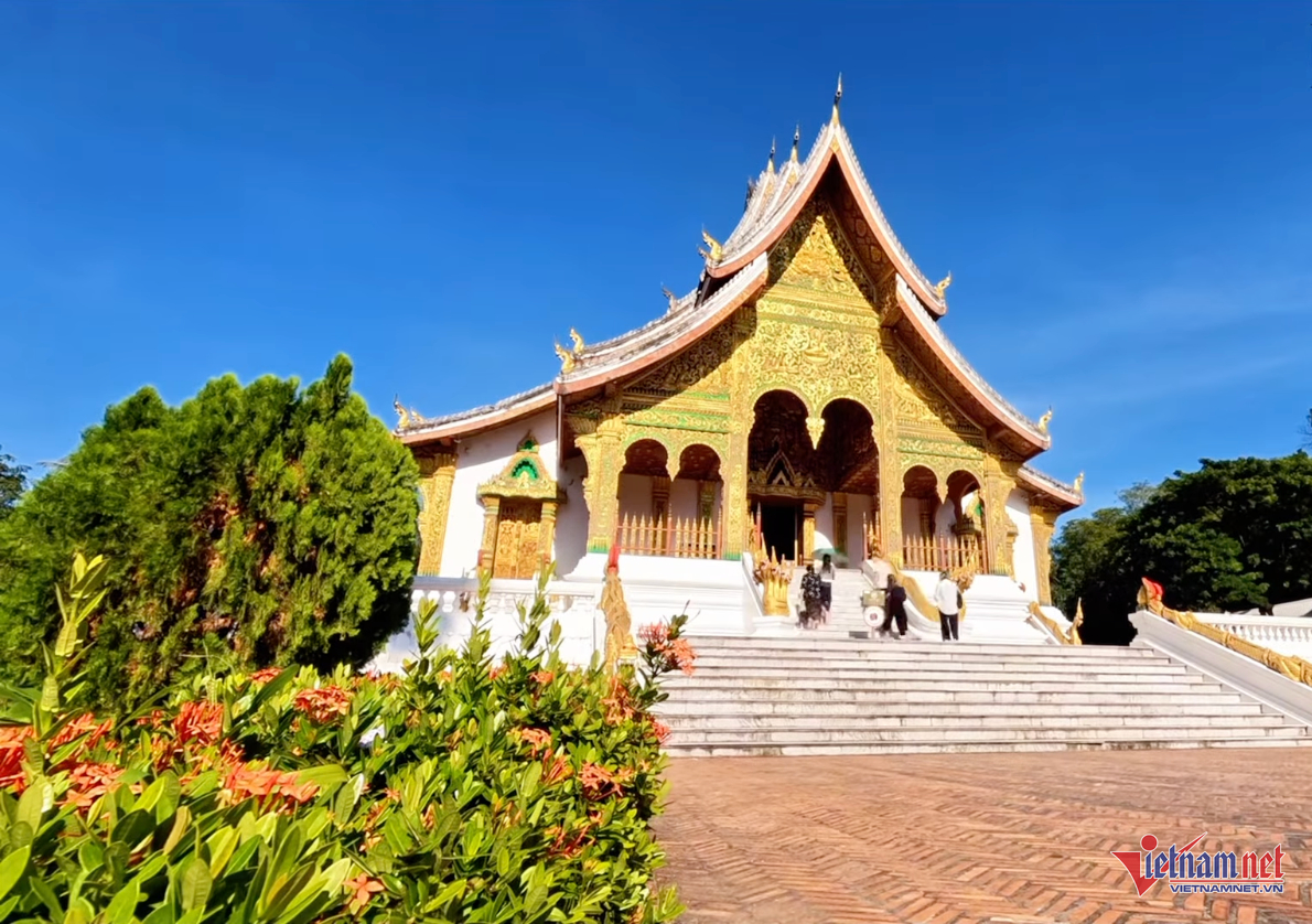 W-minhhoa.png