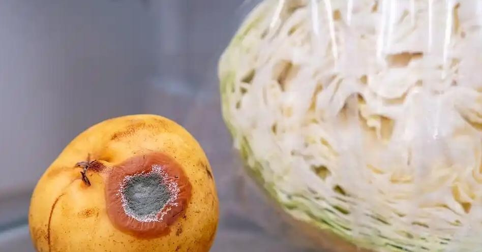 Bác sĩ cảnh báo 4 cách bảo quản thực phẩm trong tủ lạnh tăng nguy cơ bị ung thư