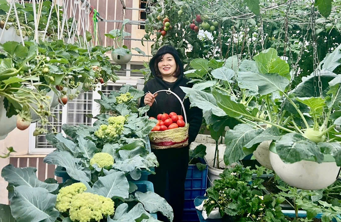 Chi 10 triệu làm vườn sân thượng, gia đình Hà Nội thu hoạch cả tạ trái một mùa