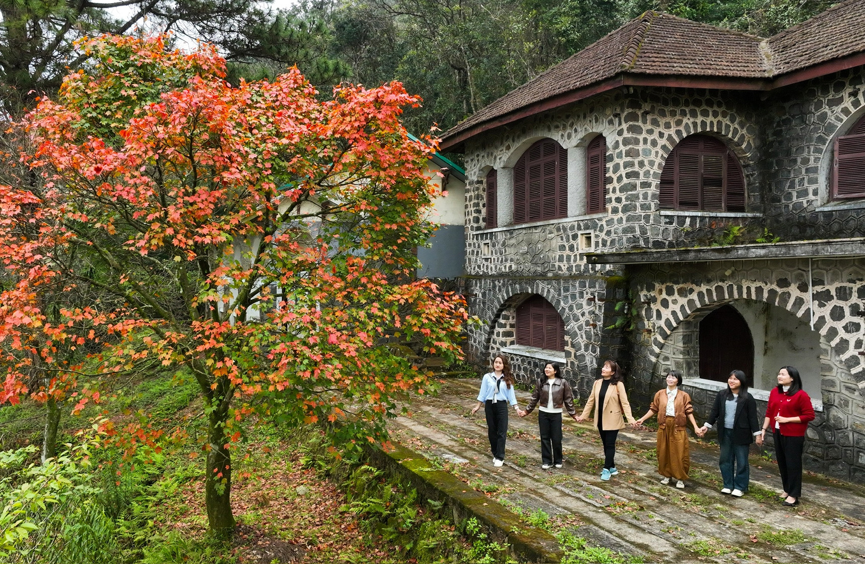 Hoa đỗ quyên bung nở trên đỉnh núi, khung cảnh Bạch Mã đẹp tựa ở trời Âu