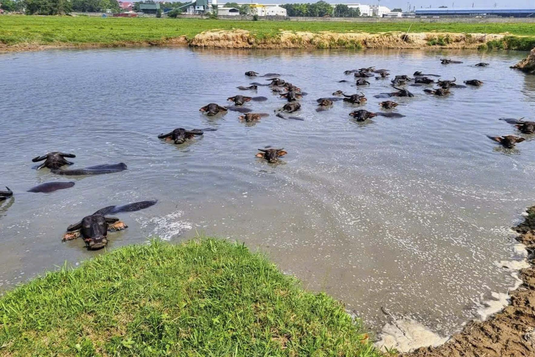 Bắc Ninh điểm tên hàng loạt dự án tồn đọng kéo dài, gây lãng phí lớn