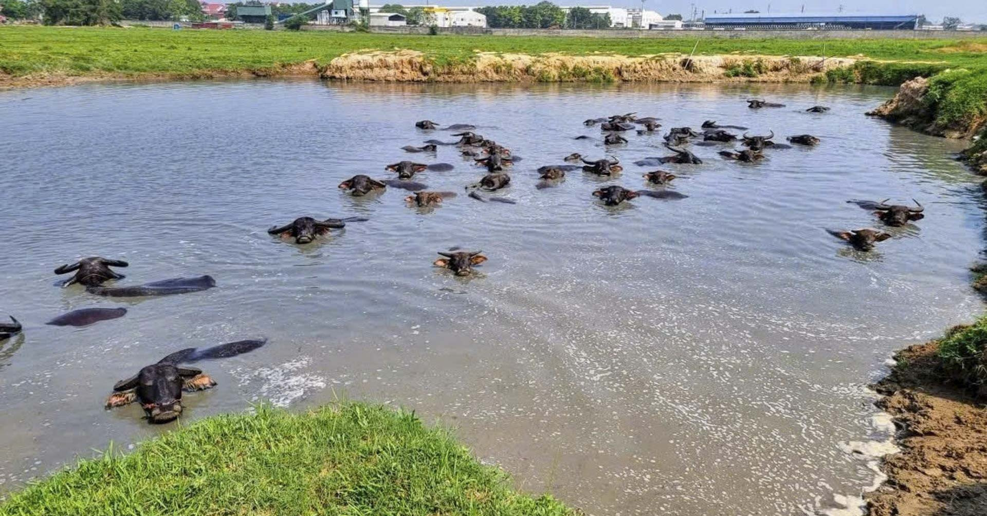Bắc Ninh điểm tên hàng loạt dự án tồn đọng kéo dài, gây lãng phí lớn