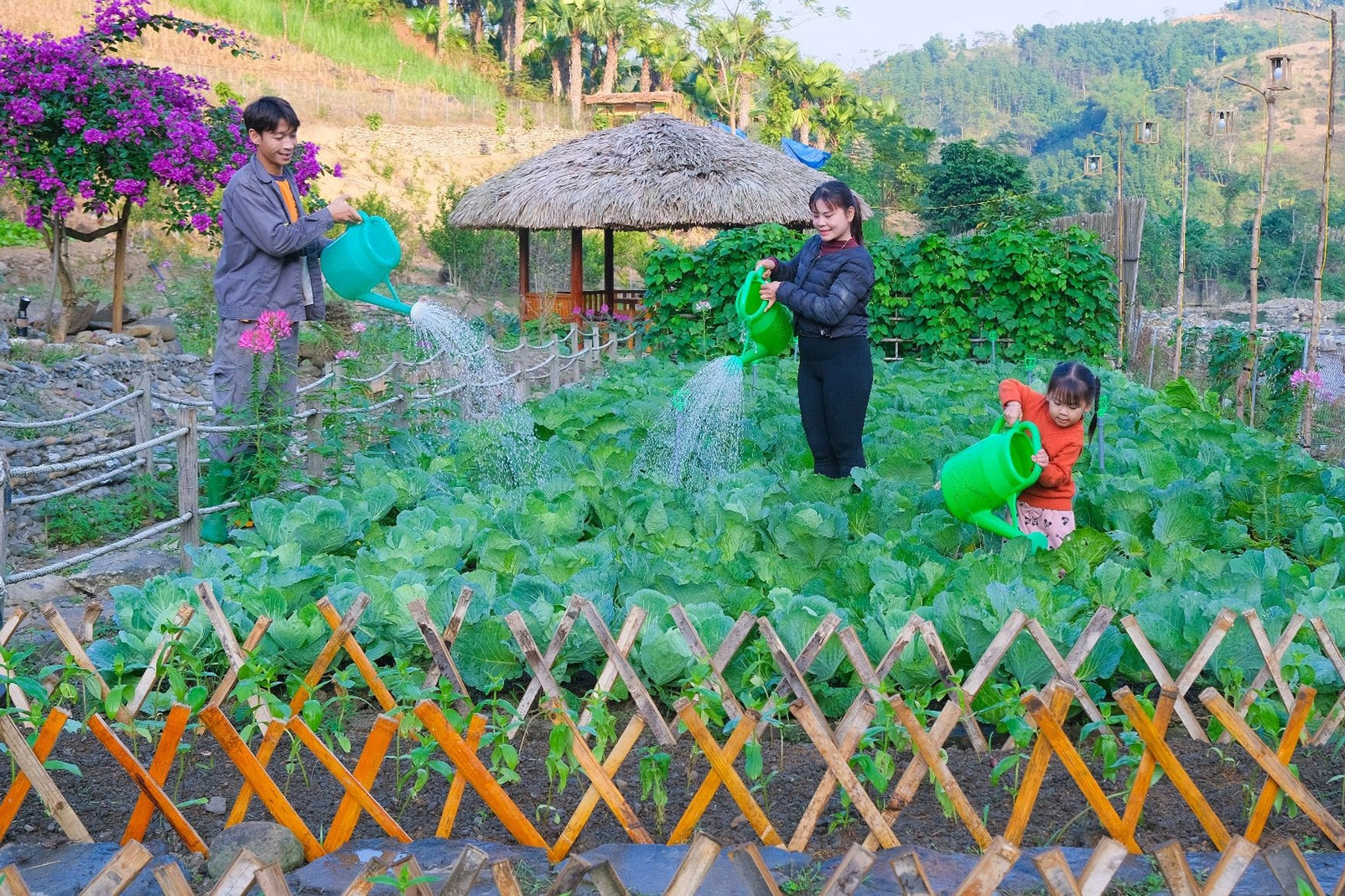 Vợ chồng người Mường đào ao nuôi nghìn con cá, làm nhà vườn nổi bật trên đồi