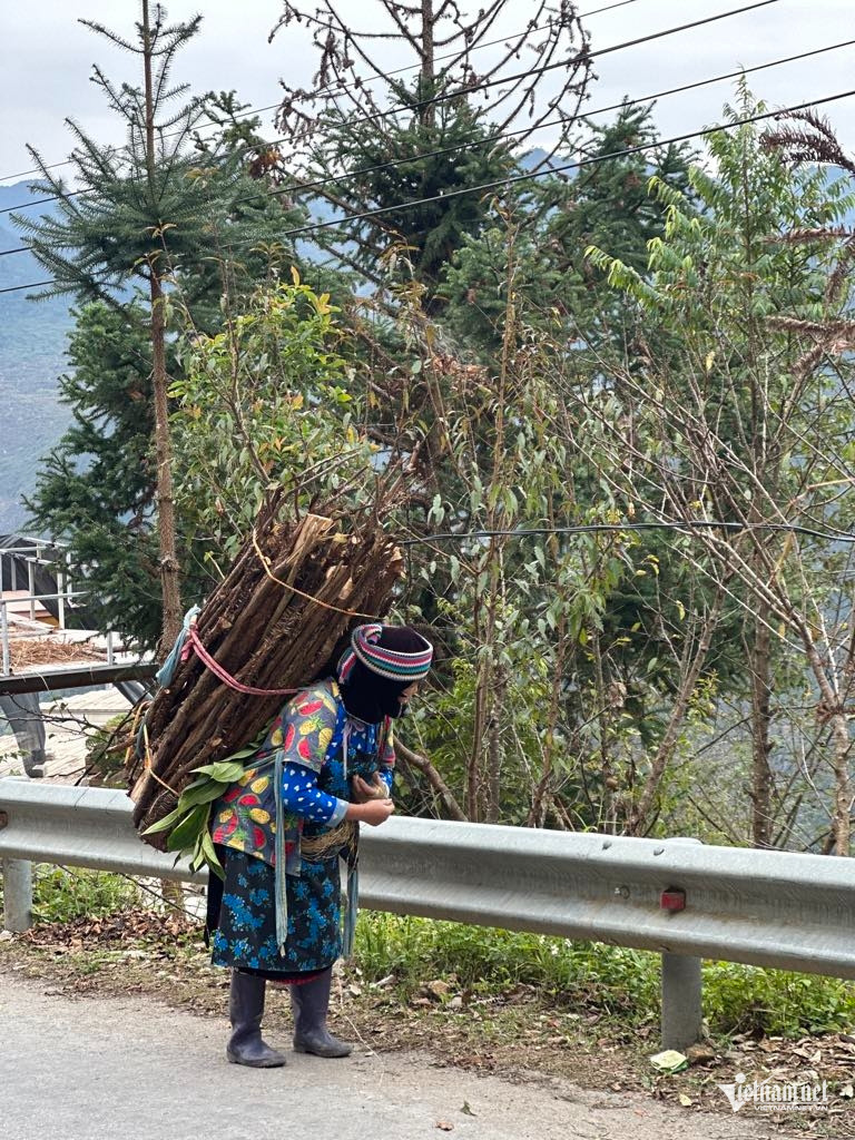 W-354445cc bc93 4201 994e b087c8561fd6.jpeg