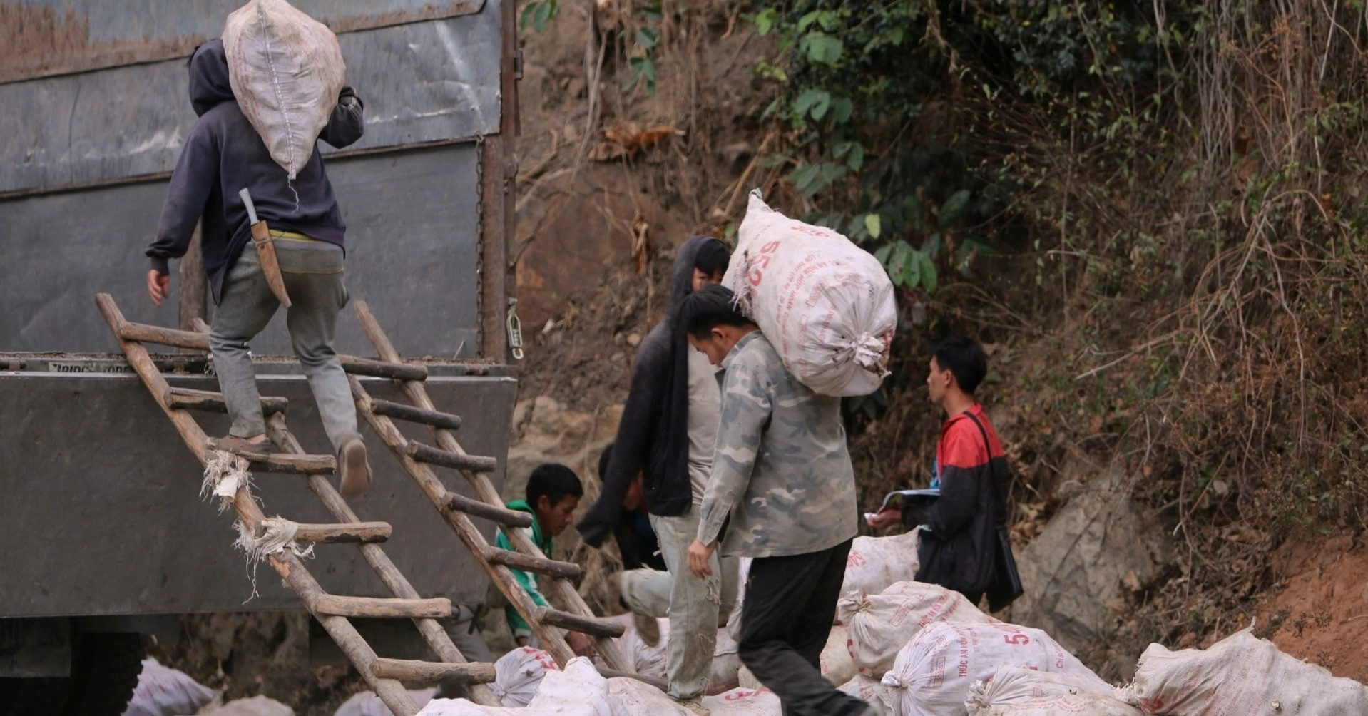 Giá sắn rớt thảm, nông dân Mường Lát chất đầy đường chờ thương lái đến mua