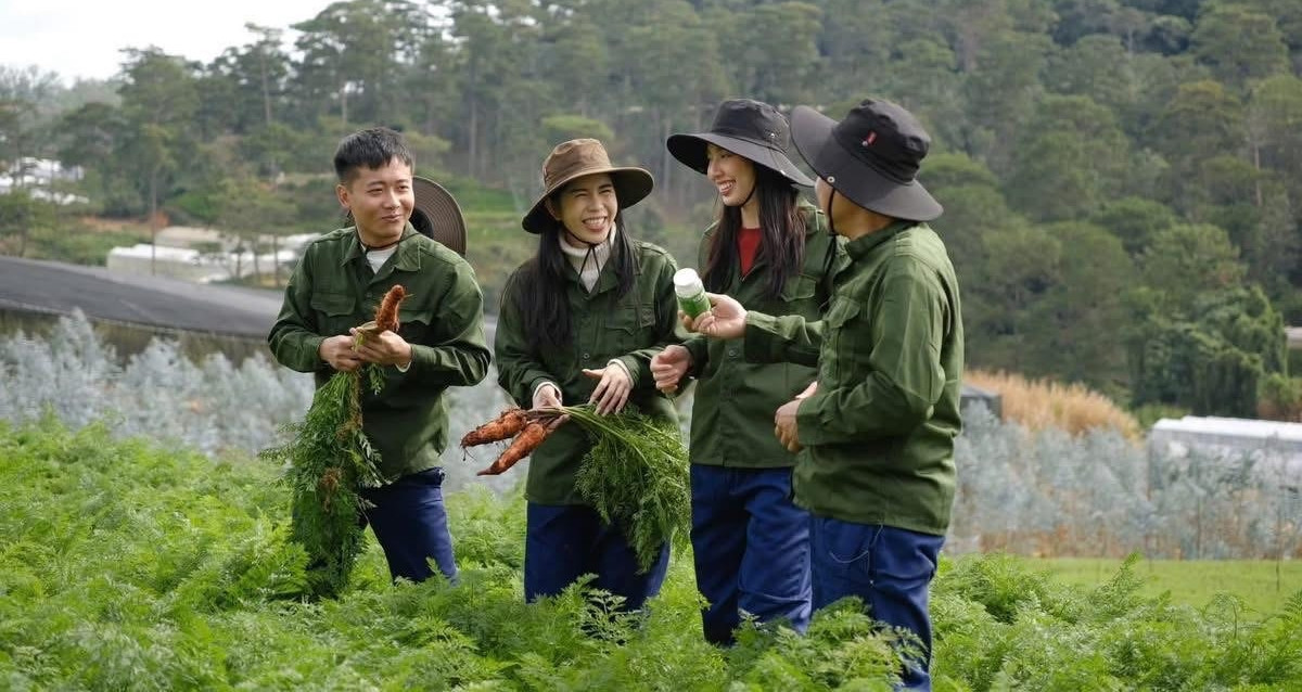 Hằng Du Mục, Quang Linh Vlogs sẽ bị xử phạt, Thuỳ Tiên bị nhắc nhở