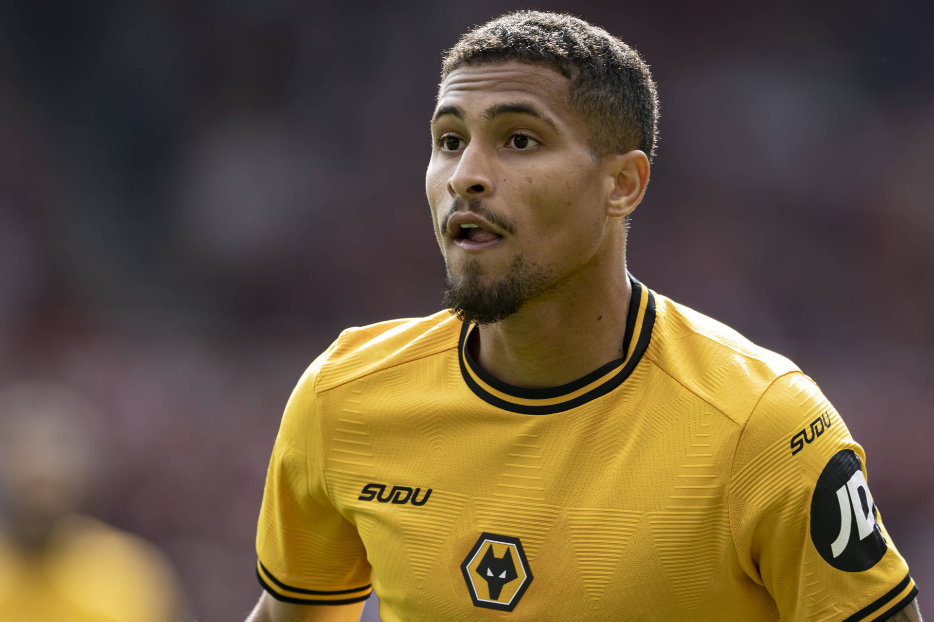 Imago. Joao Gomes.jpg