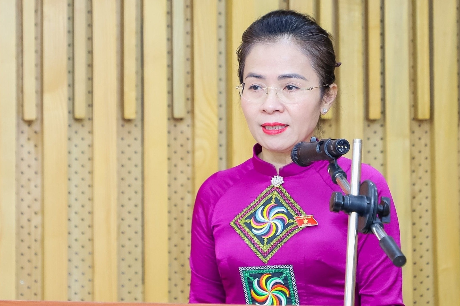 Bà Võ Thị Minh Sinh làm Phó Bí thư Tỉnh ủy Nghệ An