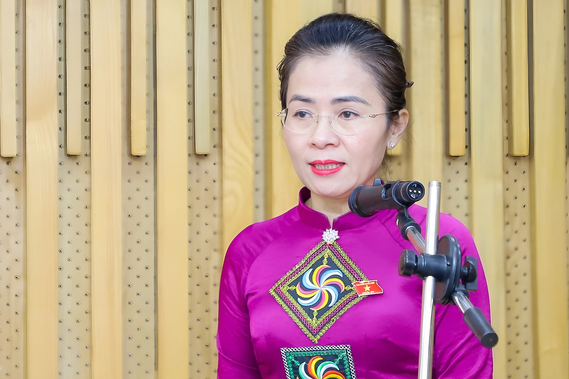 Bà Võ Thị Minh Sinh làm Phó Bí thư Tỉnh ủy Nghệ An