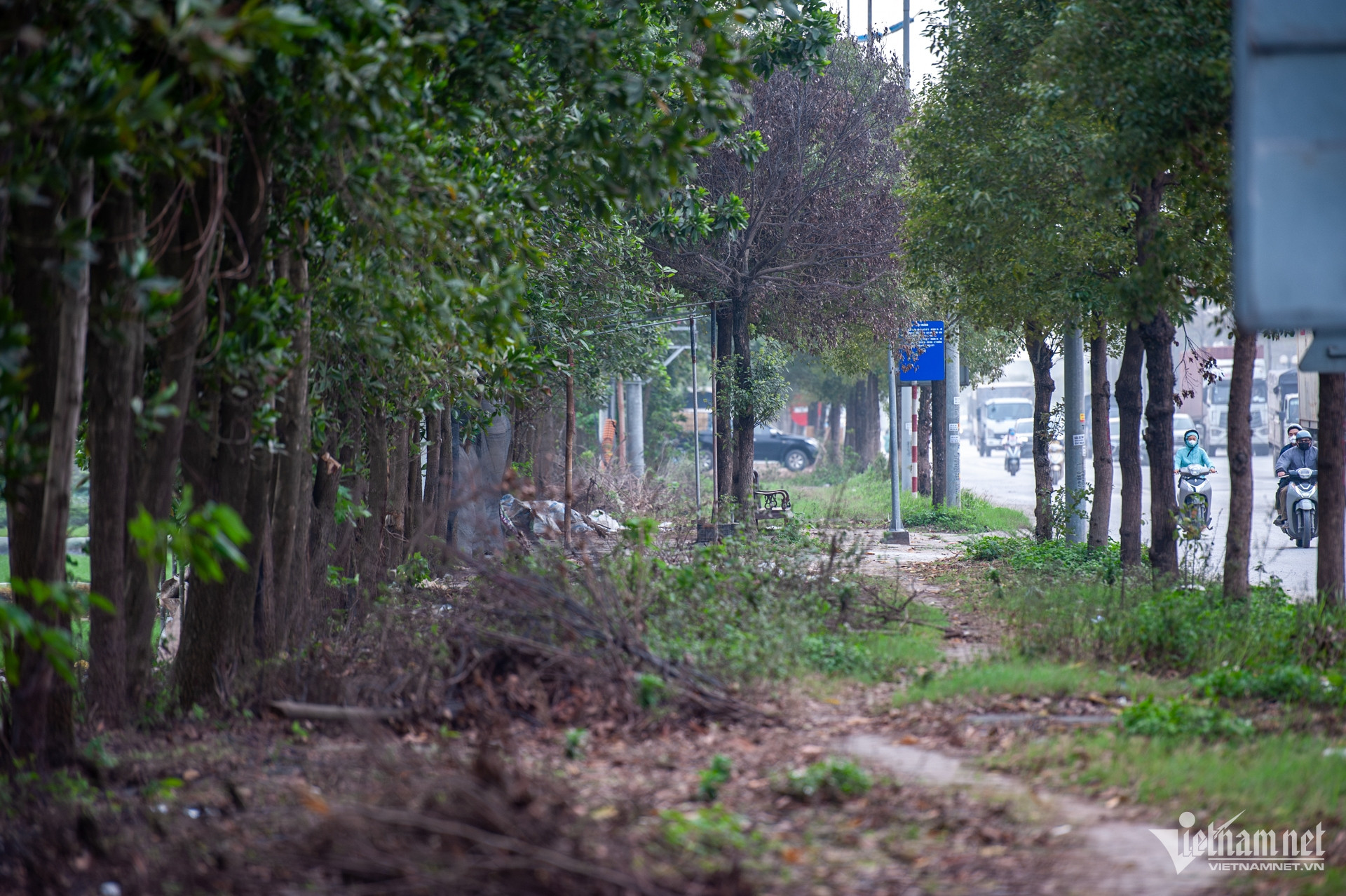 W-ham_di_bo_ (11).jpg