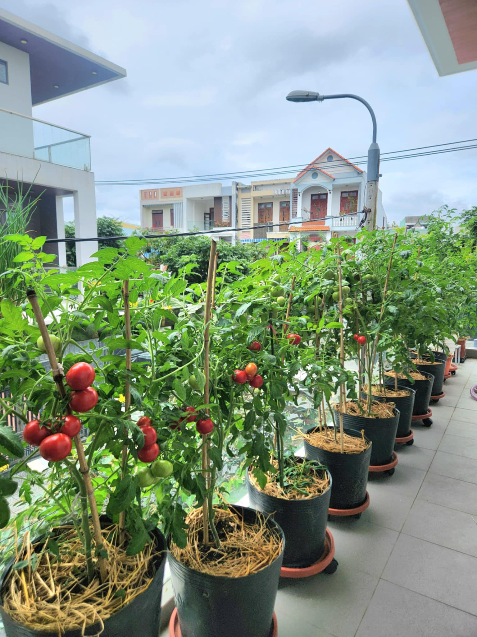 4cdb607c b721 44f4 ab98 48b98a60b9af.jpeg