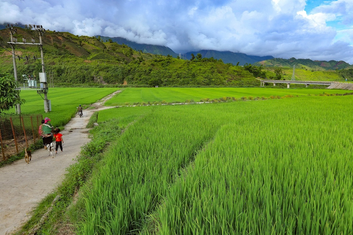 Đầu tư thực chất, bảo đảm điều kiện sống, sinh kế bền vững cho đồng bào dân tộc thiểu số