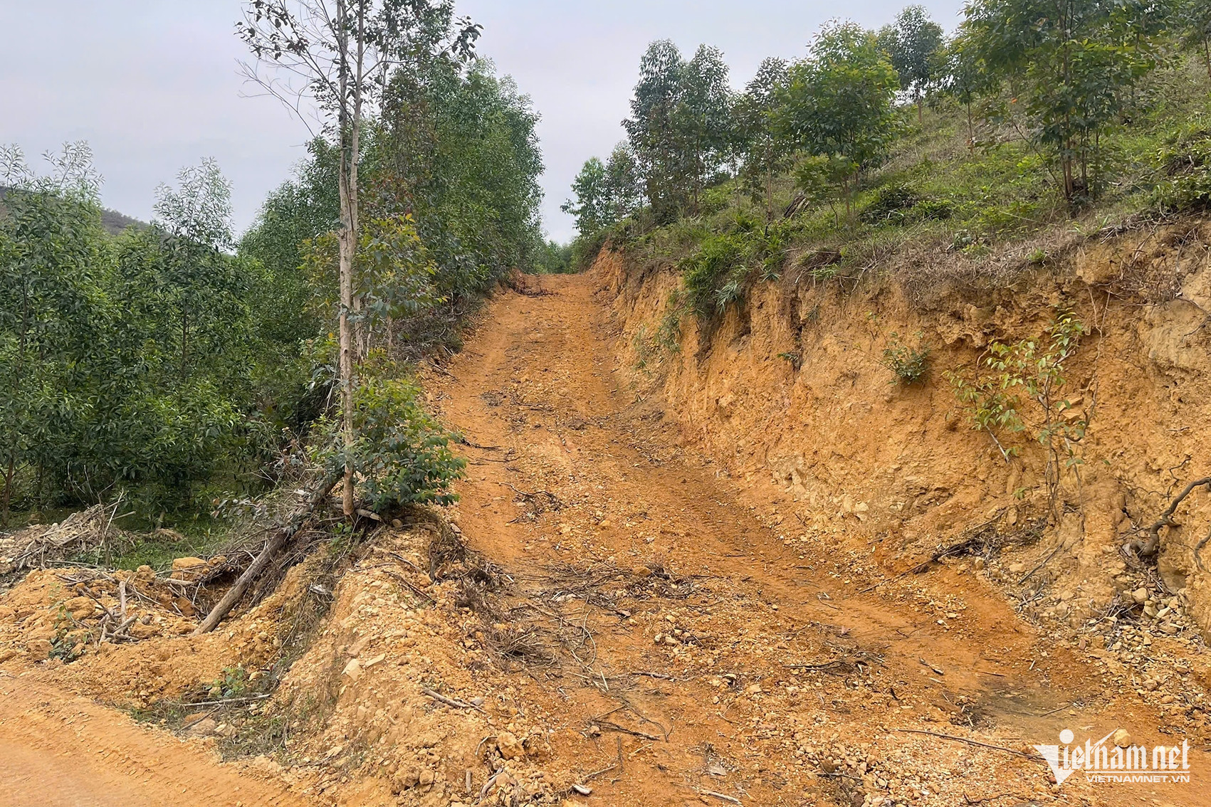 W-4d349603 57f0 427f 8b55 0d1cf97c87d5.jpeg