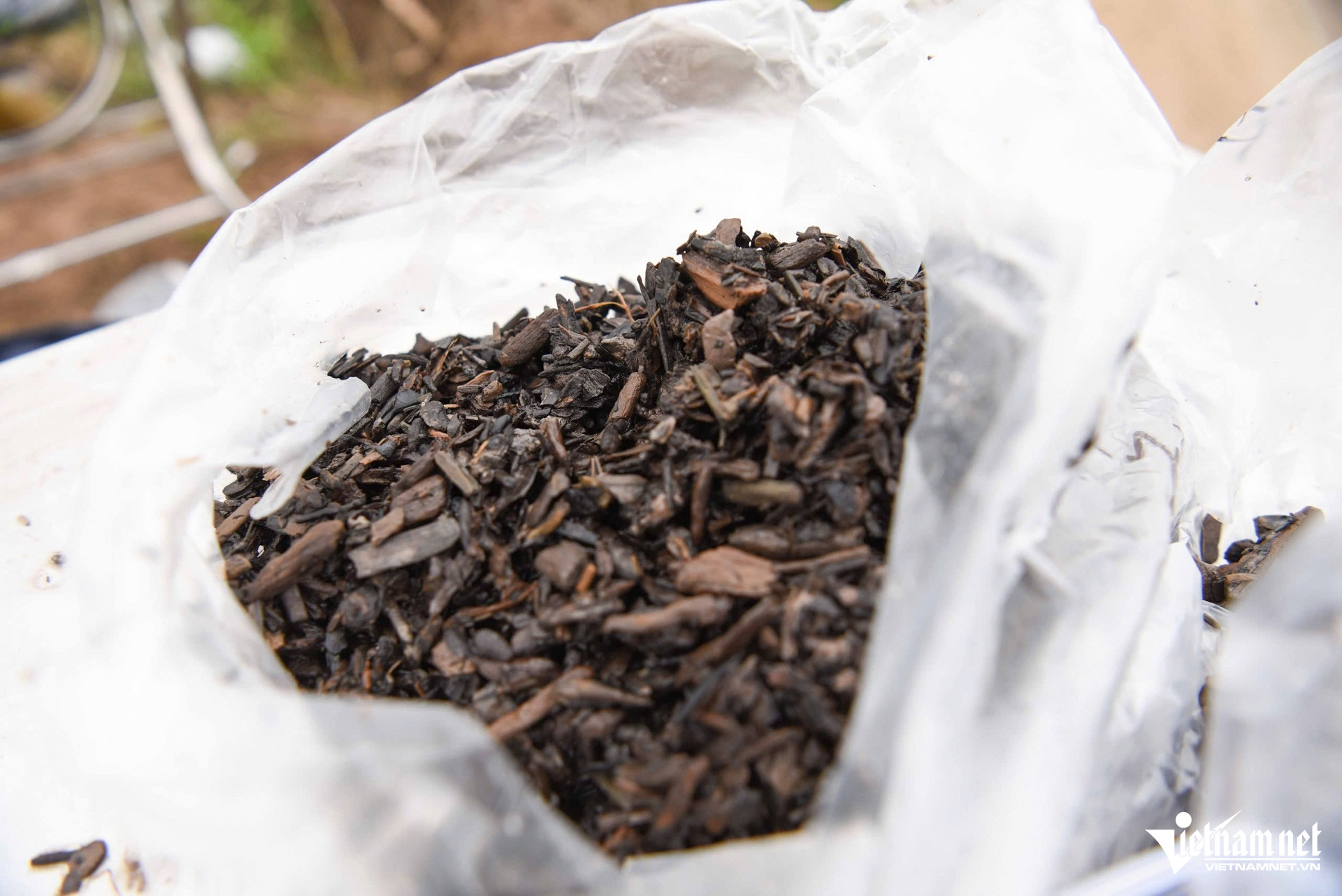 W-thuyền bắc ninh_7.JPG.jpg