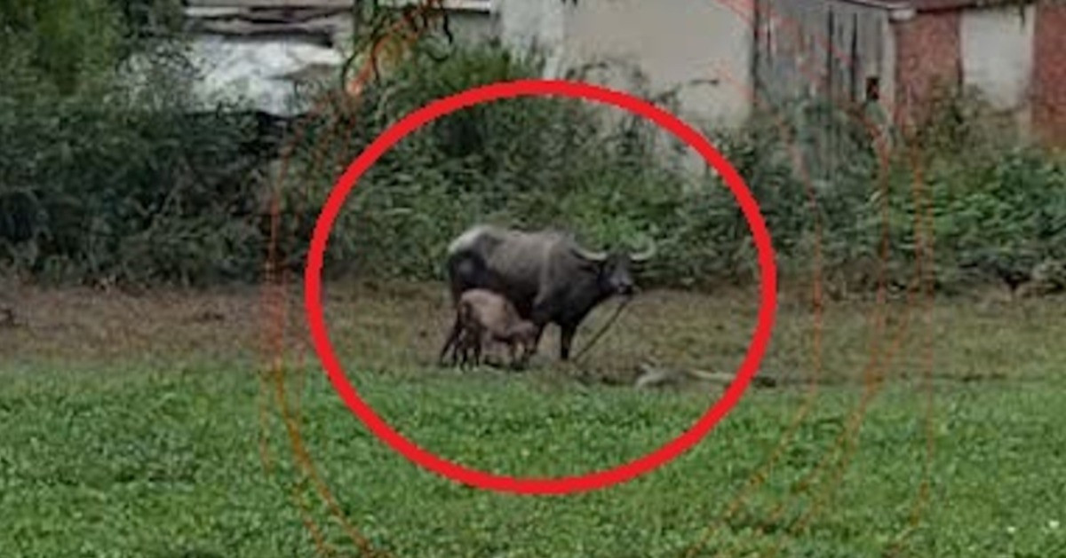 z6344438795188 36ed280d7985635c3d97546864a04e7d 73467.jpg