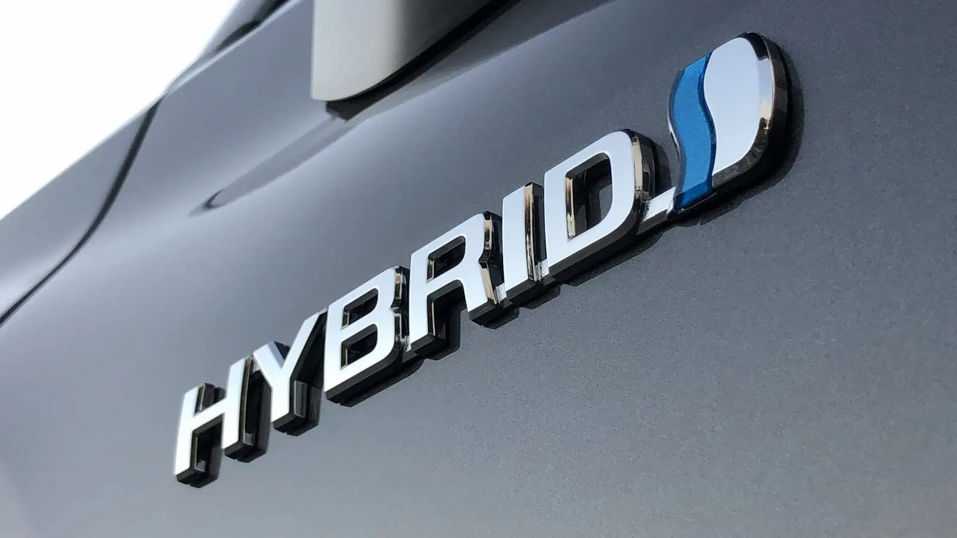 hybrid autocarpo.webp