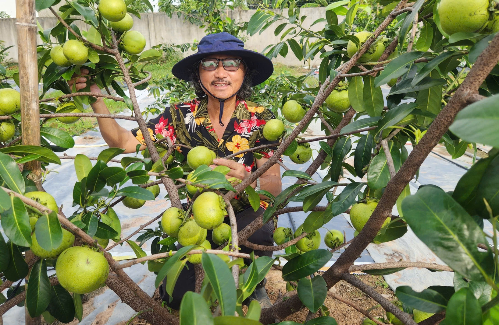 Lão nông làm vườn 5.000m2 giữa phố, trồng hàng chục giống cây 'độc lạ Bình Dương'