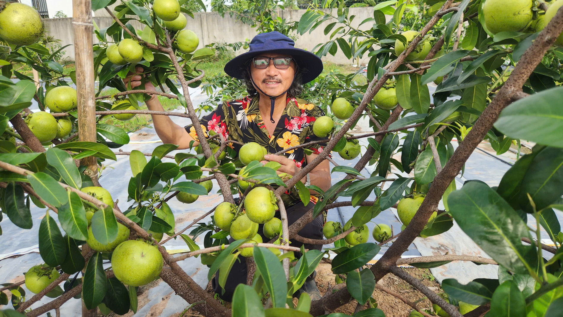 lão nông làm vườn cây độc lạ 02.jpg