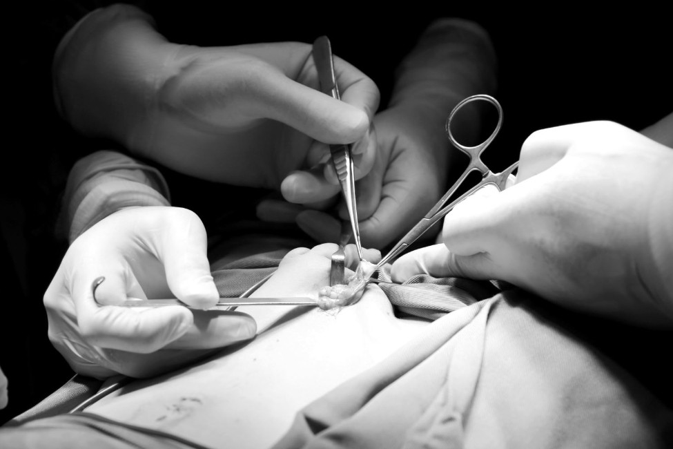 Người đàn ông vỡ đôi tinh hoàn lúc đang ngủ vì cú đập của con trai 8 tuổi