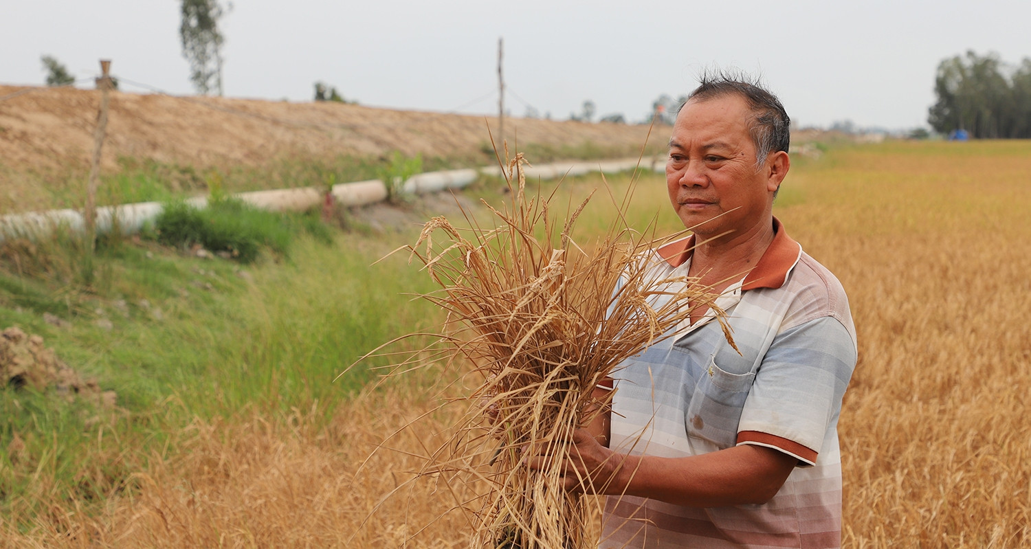 vietnamnet.vn