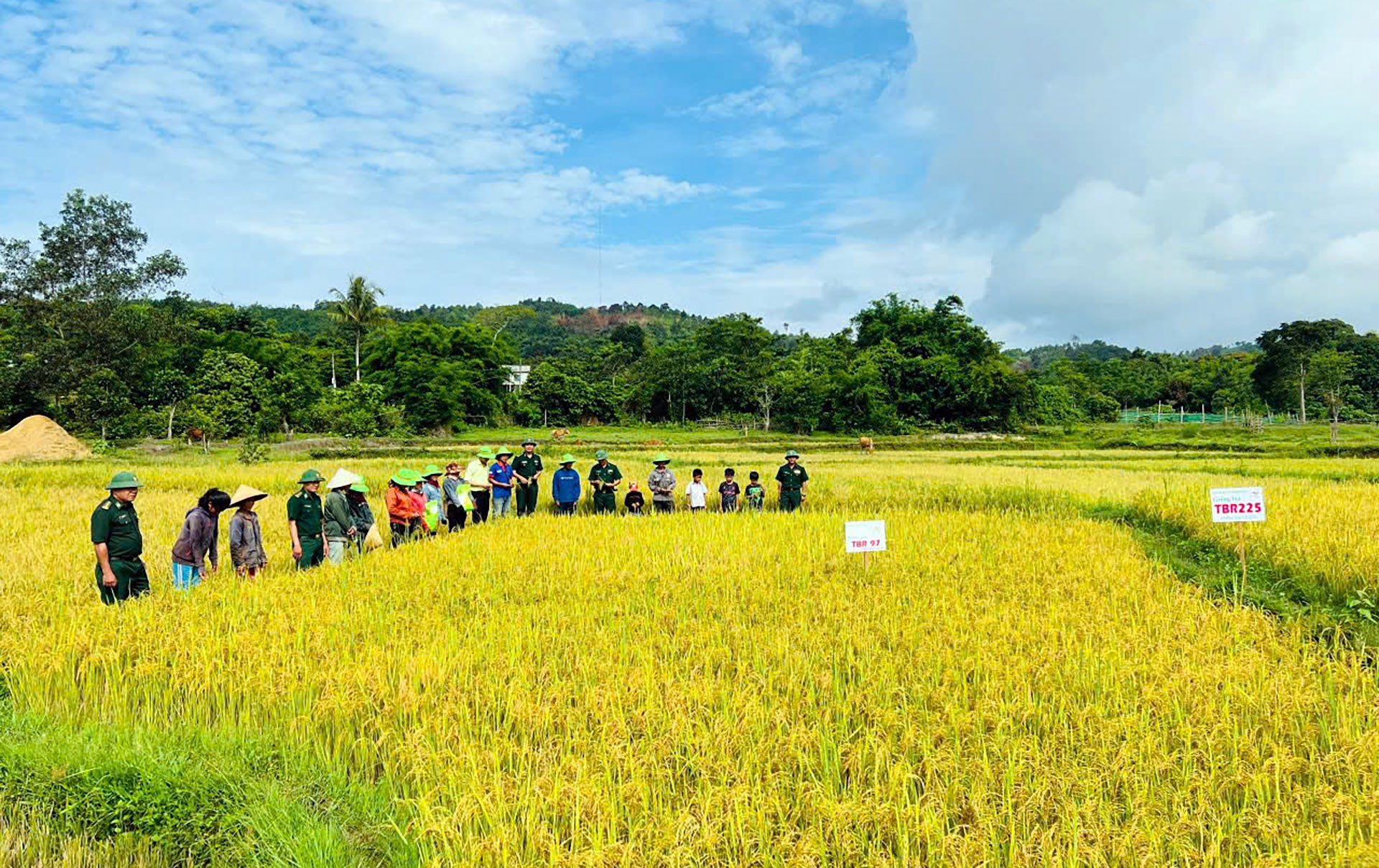 4Bộ đội biên phòng Việt Namjpg.jpg