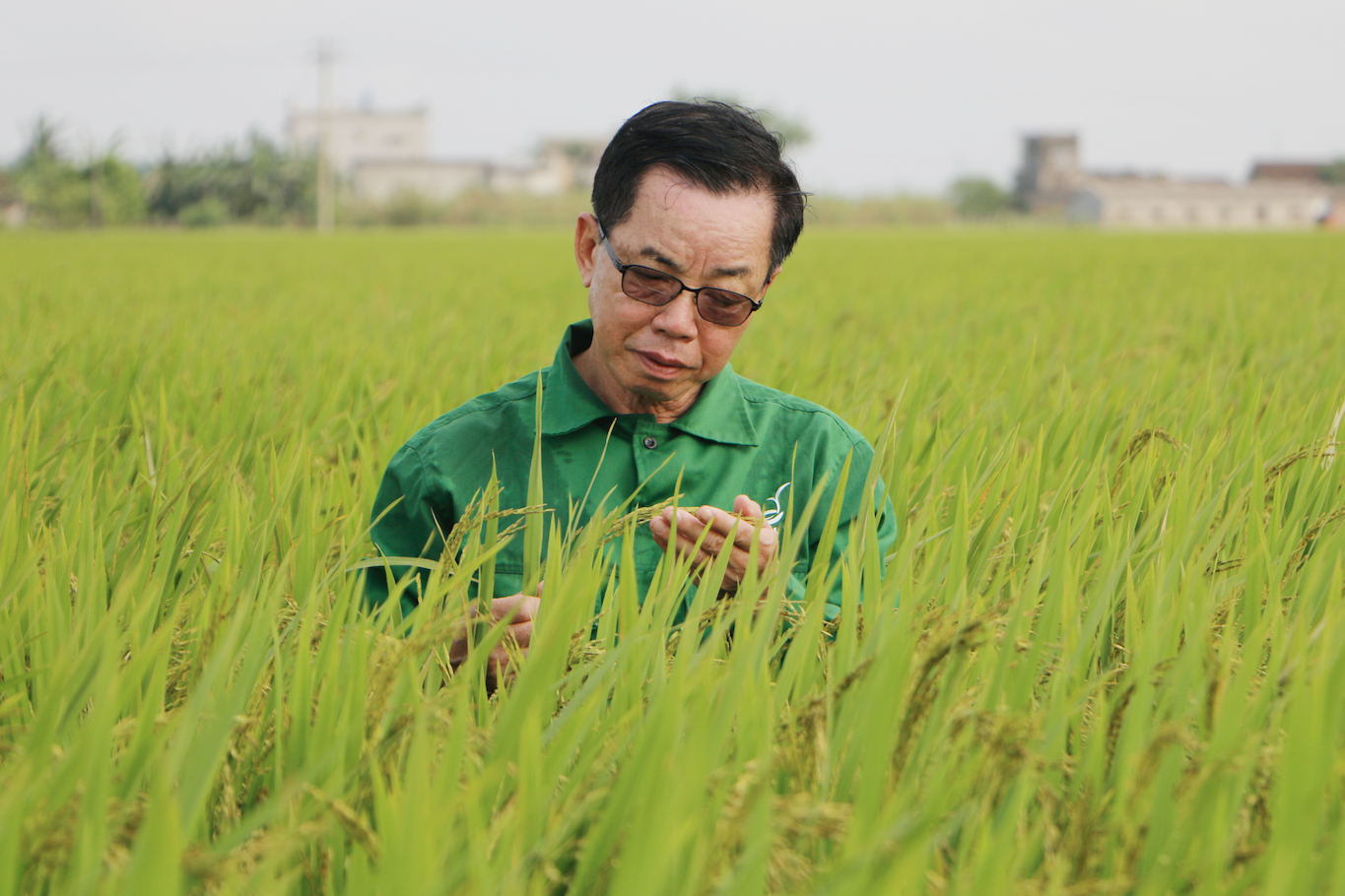 AHLĐ Trần Mạnh Báo: Tôi từng bị kiện vì dám chi tiền đưa cán bộ đi học về nghiên cứu giống