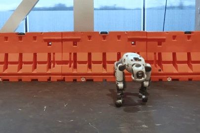 Màn trình diễn gây 'sốc' của robot hình người nặng 150kg