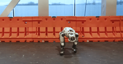 Màn trình diễn gây "sốc" của robot hình người nặng 150kg