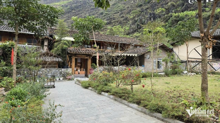 W-51b0ba02 33d8 4766 bafc ea30d7255095.jpg