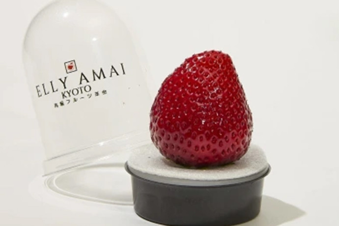 Hơn 500 nghìn đồng một quả dâu tây Nhật Bản