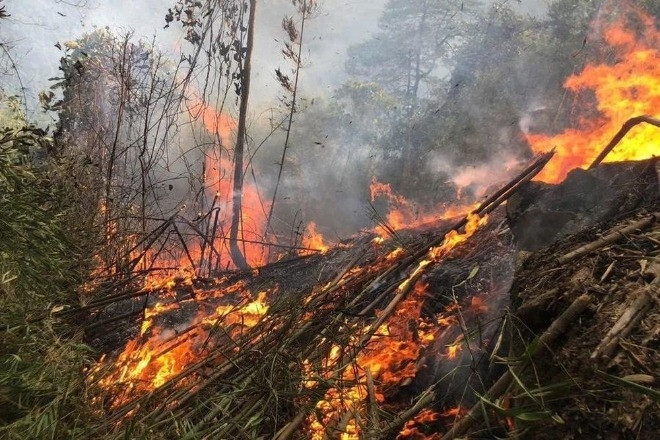 Xác định nguyên nhân vụ cháy hơn 20ha rừng ở Tuyên Quang
