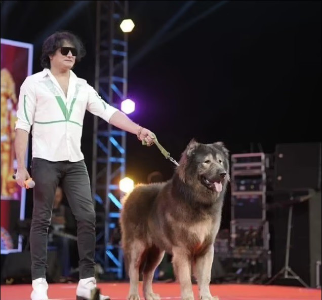 cho 1 1742452966 860 width636height592.jpg