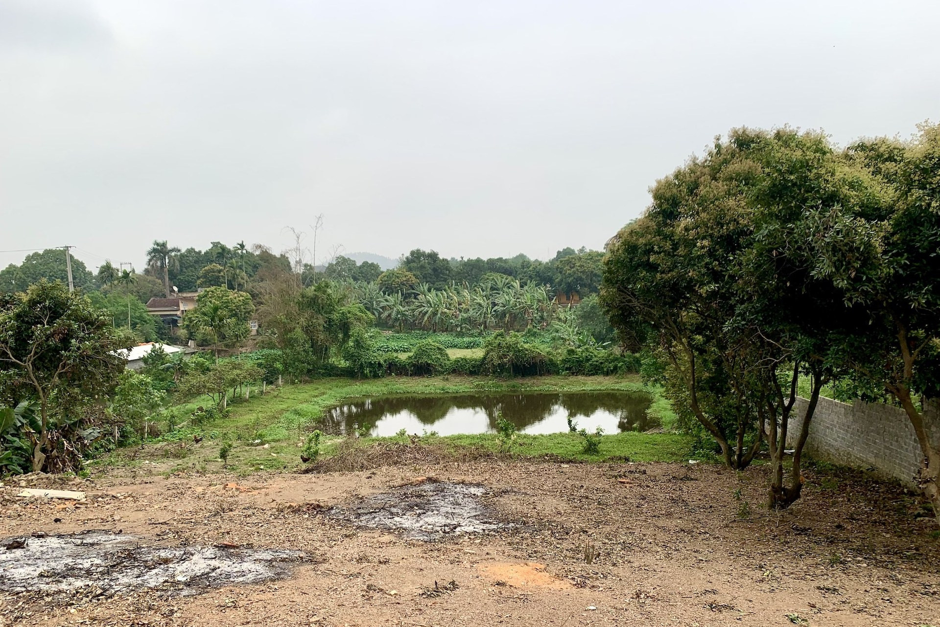 Lưu ý khi đi làm sổ đỏ mà không phải nộp tiền sử dụng đất