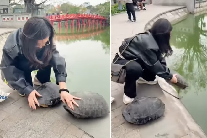 'Nhà rùa học' Hà Đình Đức lên tiếng việc cô gái phóng sinh 2 con rùa ở Hồ Gươm