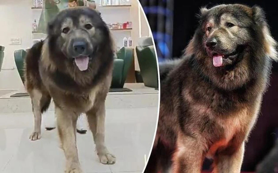 twjhnrgefdb 76548667.jpg