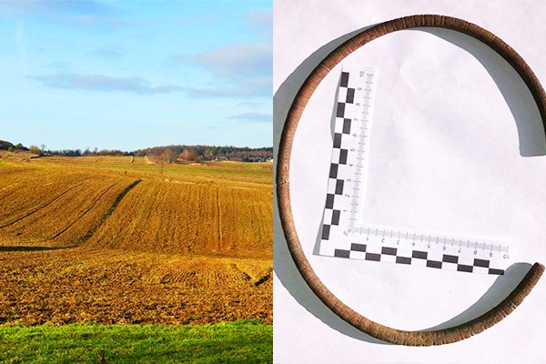 Một nông dân bất ngờ phát hiện báu vật trên cánh đồng