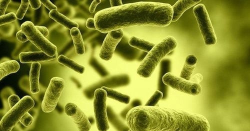 Nam thanh niên ở TPHCM bị liệt tứ chi sau khi ăn pate đóng hộp